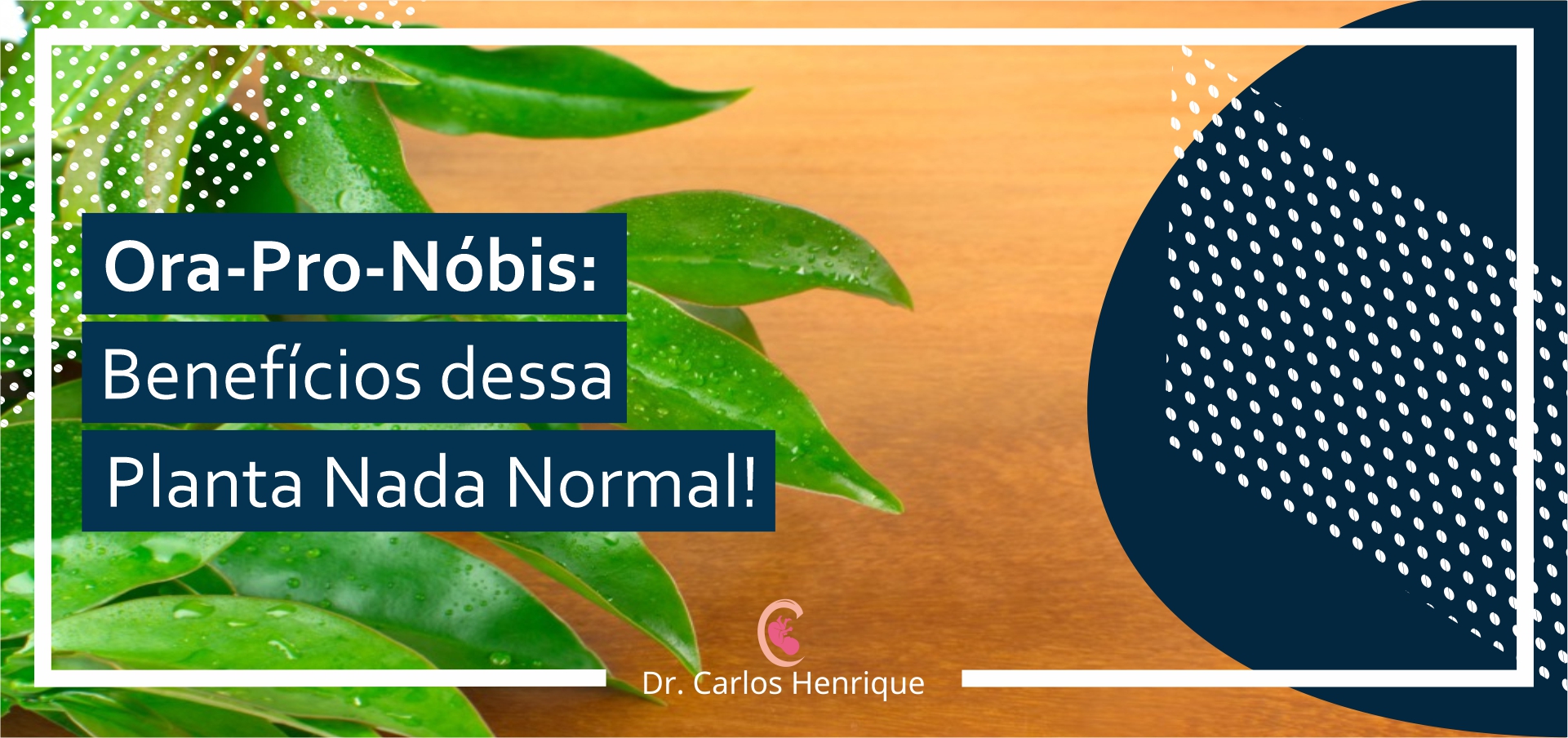 Leia mais sobre o artigo Ora-Pro-Nóbis: benefícios dessa planta nada normal